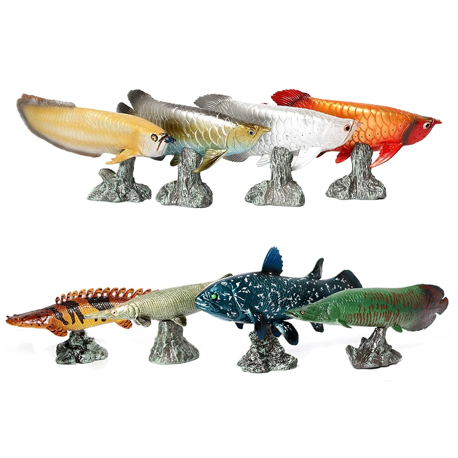 Kids Toys Reviews - Modelo de Peces Arowana, Pirarucu, Coelacanto,