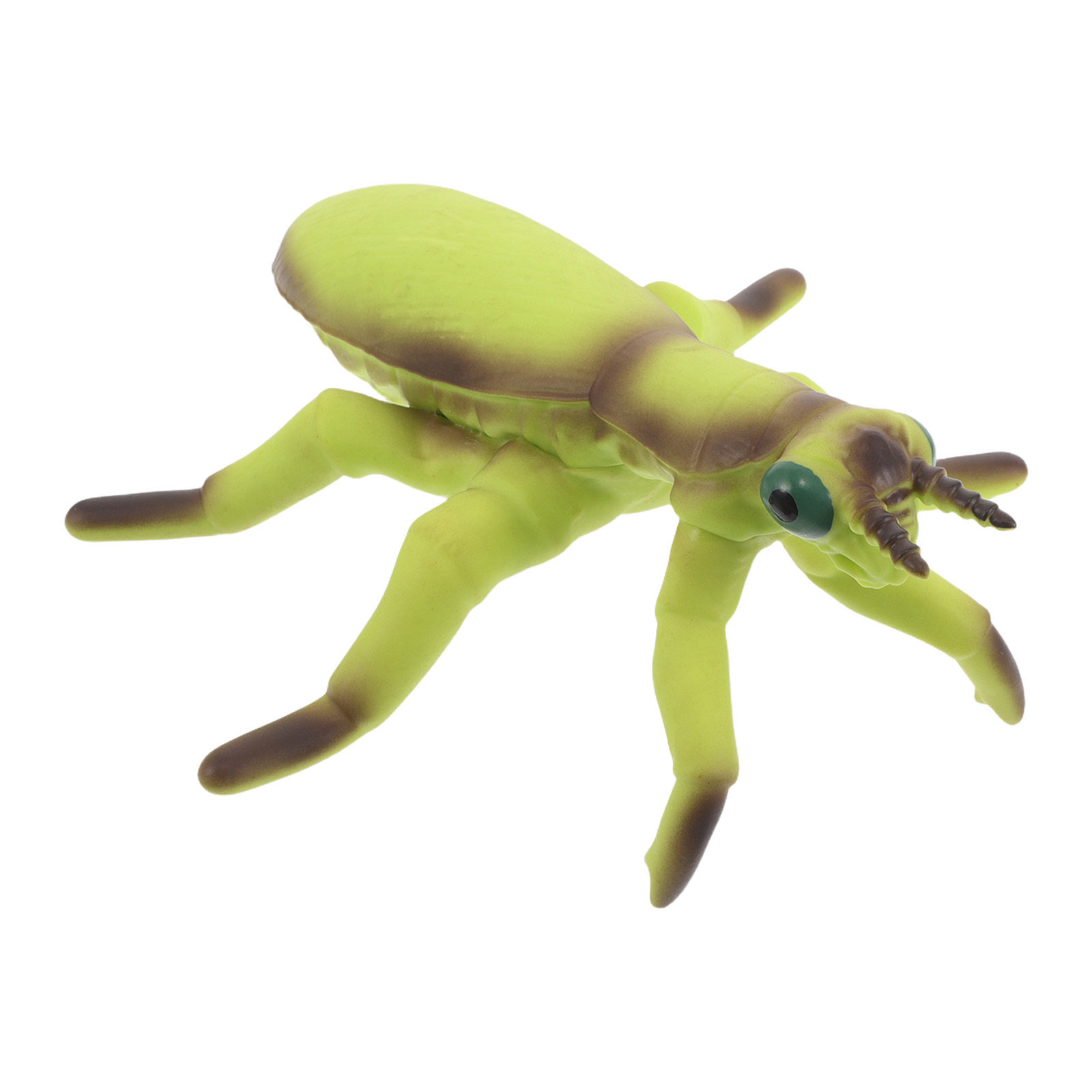 Peluches realistas de grillo y - Kids Yard Toys reseña y precio